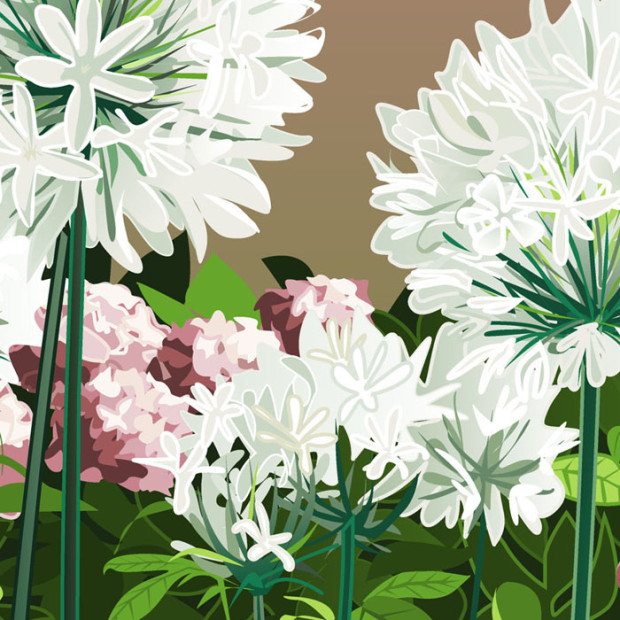 hortensias y blancas 500x350