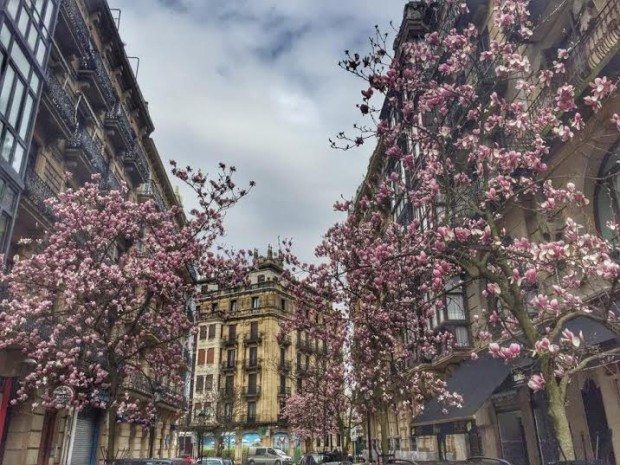 donostia san sebastian sisters and the city