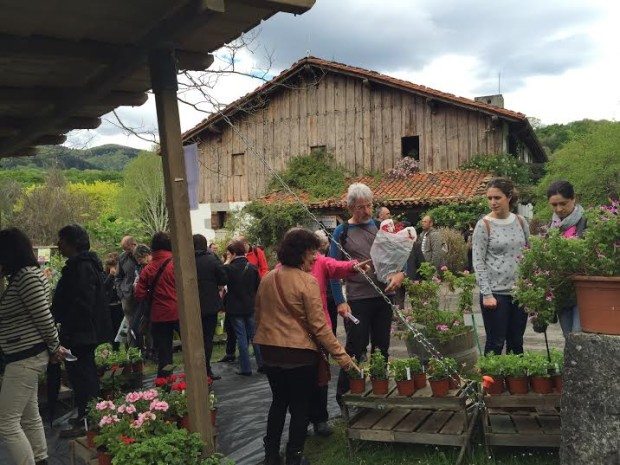 Feria plantas Iturraran