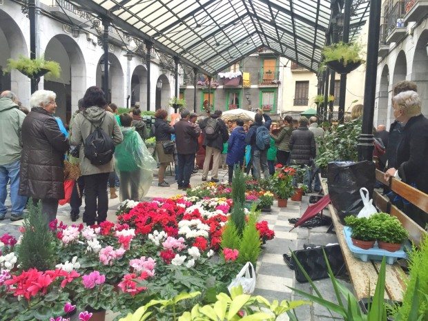 Tolosa sisters and the city