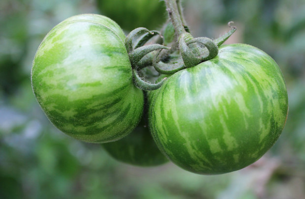 Karabeleko Hernani Producto Ecológico