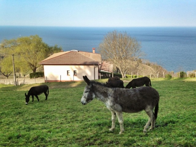 santa babara zarautz paseo getaria txakoli