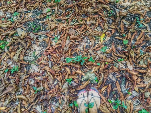 Processed with Snapseed.