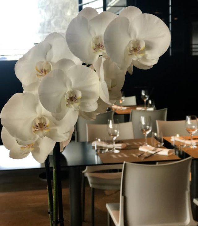 orquideas ni neu san sebastian restaurante donostia
