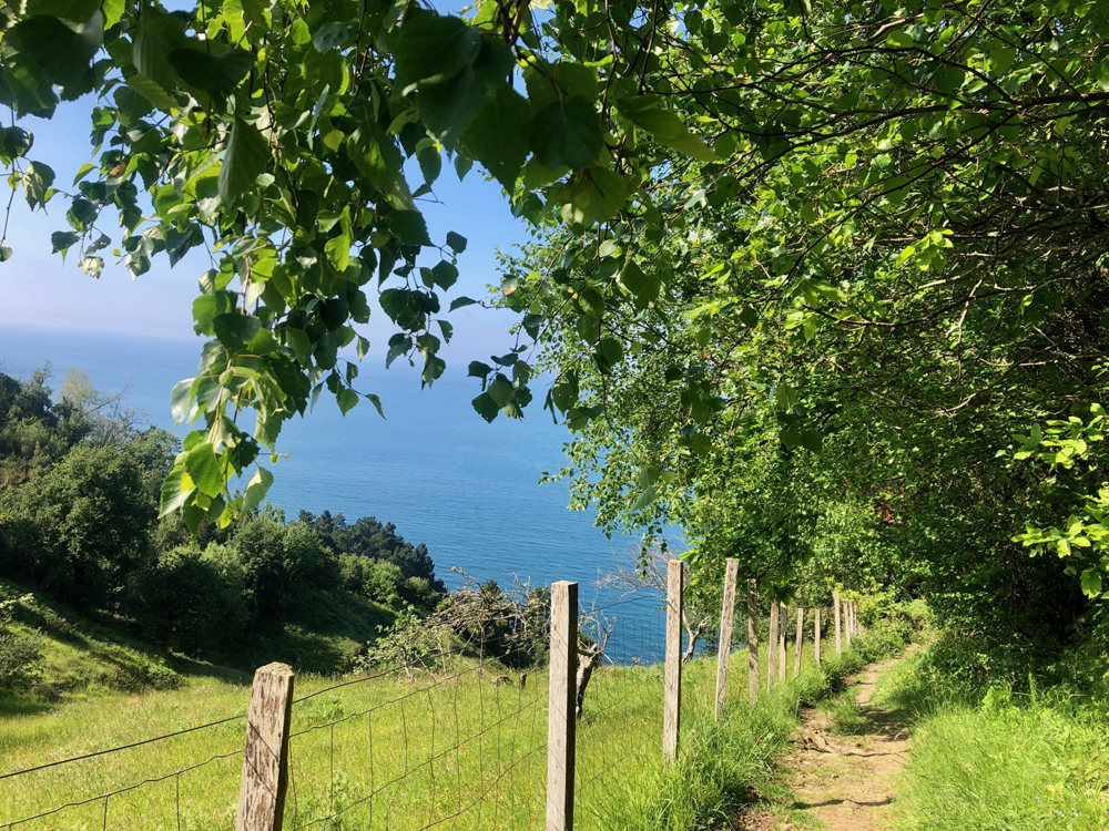 sistersandthecity-anillo-verde-azul-zarautz_07