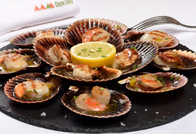 sistersandthecity-mini-guia-tudela-navarra_74