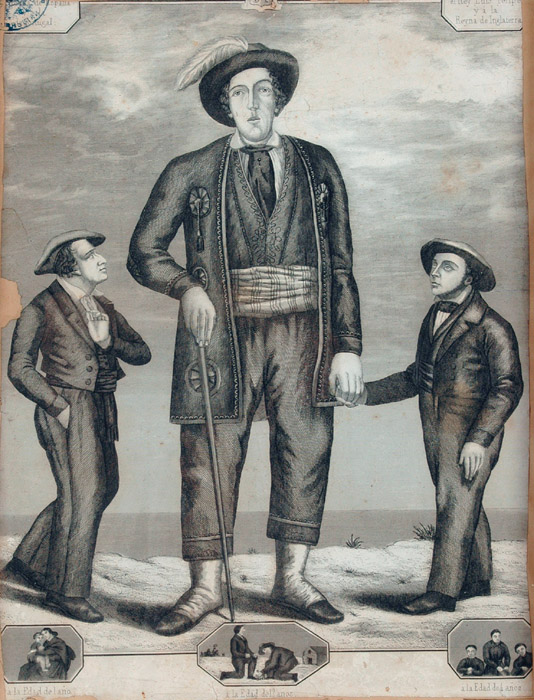 UN-GUIA-DE-ALTURA-MUSEO-SAN-TELMO