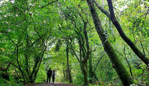 baño-en-el-bosque