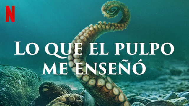 documental_lo_que_el_pulpo_me_enseño