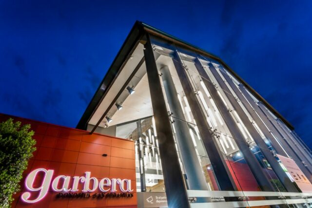 Garbera