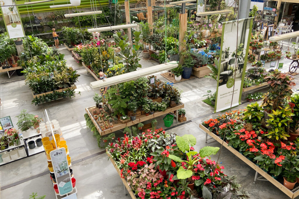 Estanque en el jardín lleno de vida - Endanea Garden