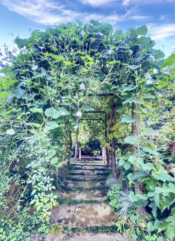 LUR GARDEN, UN JARDÍN EN OIARTZUN Sisters and the City
