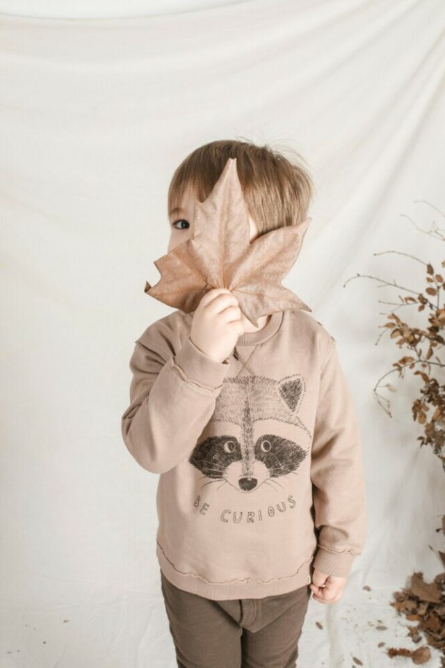 usoa_dear_mini