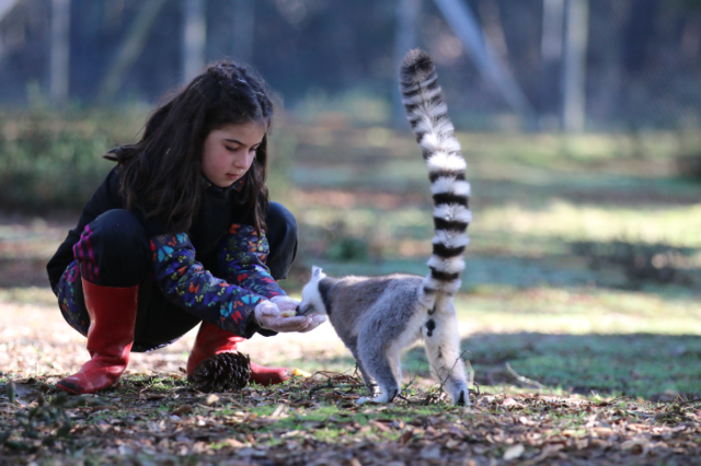 Zoo Labenne experiencias