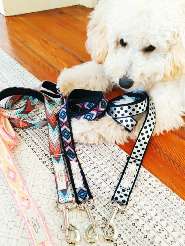 Atubola collar perro