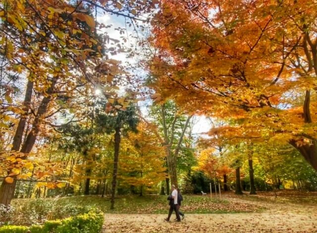 Donosti Otoño