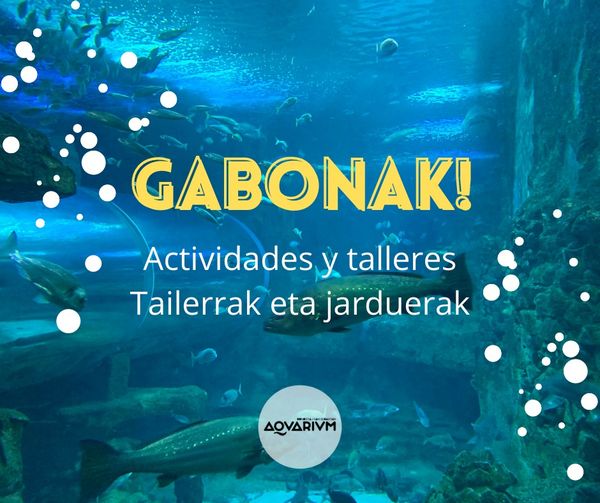 gabonak_aquiarium